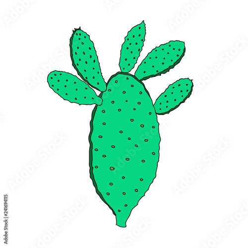 Stem Vegetable Illustration