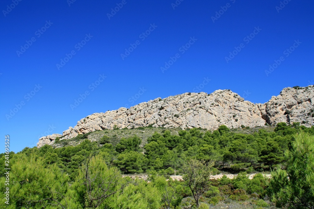 escarpment with Aleppo pines