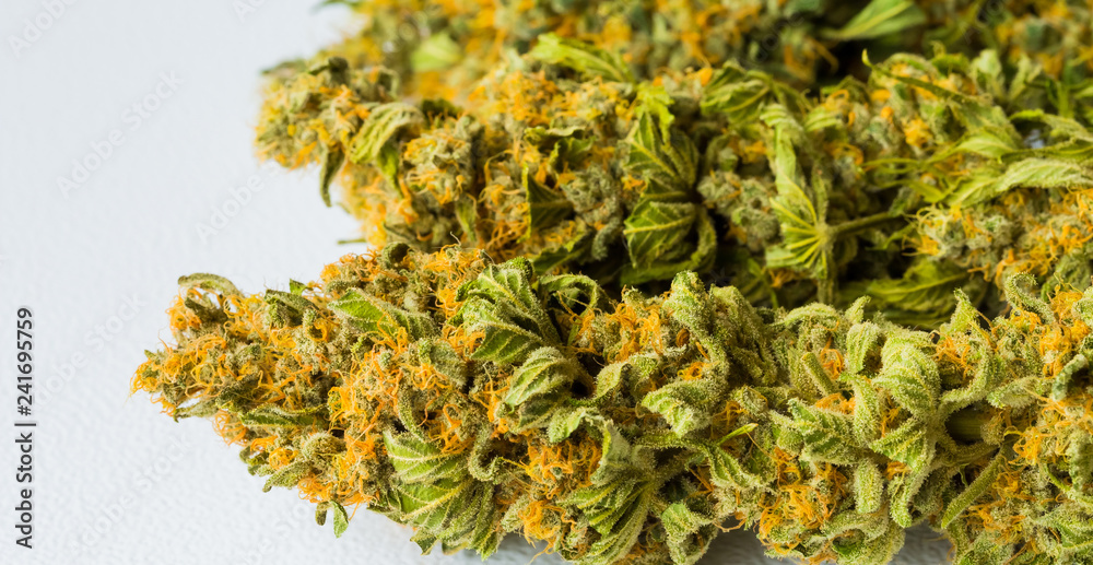 Macro close up of a dried Cannabis Medical Marijuana Macro close up of a dried Cannabis Medical Marijuana
