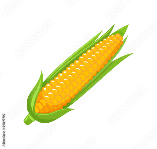 Corn Food Organic Agriculture Meal Icon Vector