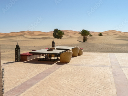 oasis in the desert