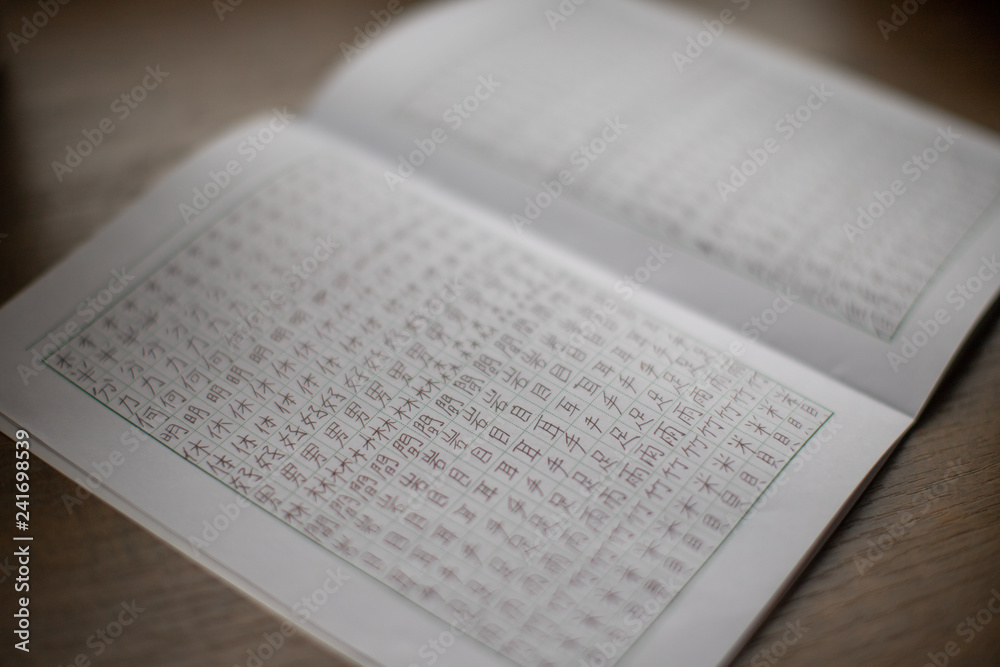 Learning and practice: workbook / notebook with a lot of chinese and japanese language characters (kanji) (translation - man, like, eye and others) Learning and practice: workbook / notebook with a lot of chinese and japanese language characters (kanji) (translation - man, like, eye and others)