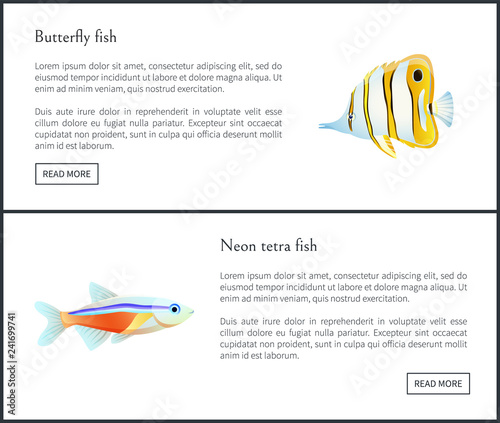 Butterfly and Neon Tetra Fish Landing Page with Text