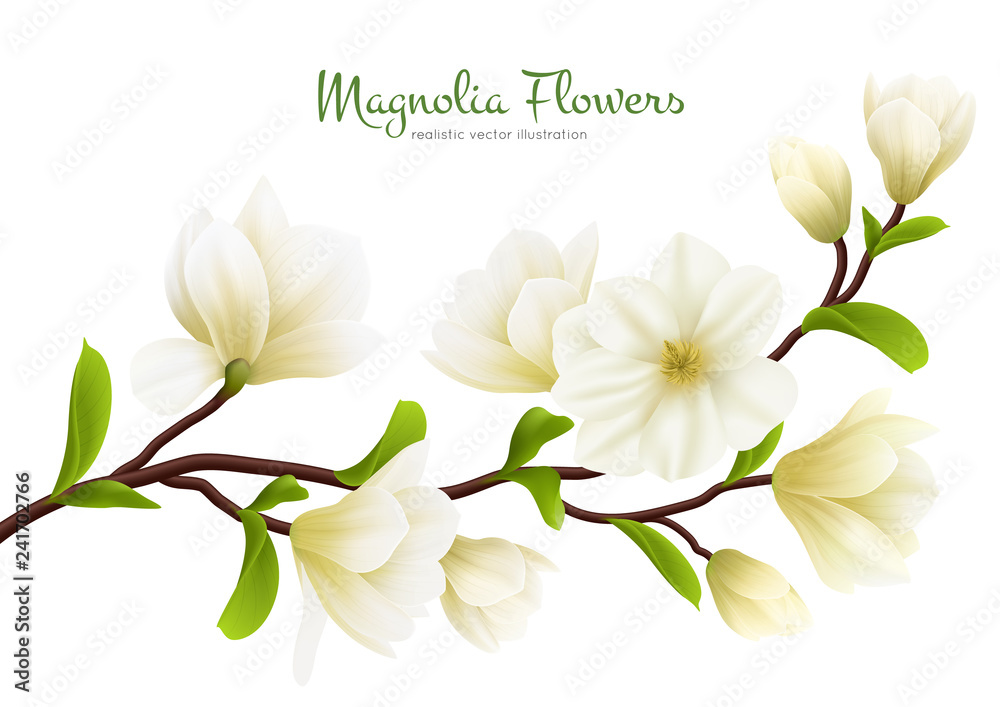 Naklejka premium Realistic White Magnolia Flower Composition