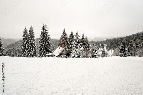 winter on Visalaje in Moravskoslszeke Beskydy mountains in Czech republic photo