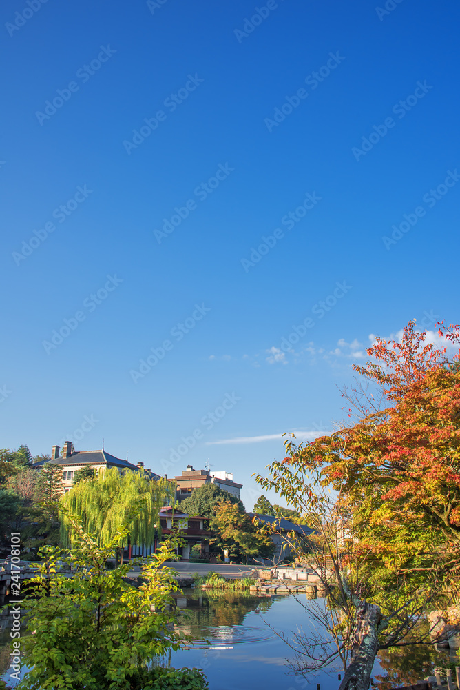 京都　秋の円山公園