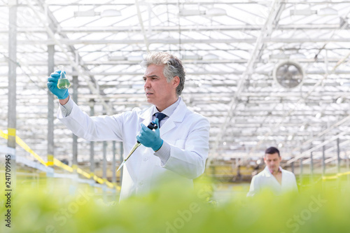 Confident male biochemist examining conical flask while holding pipette in greenhouse