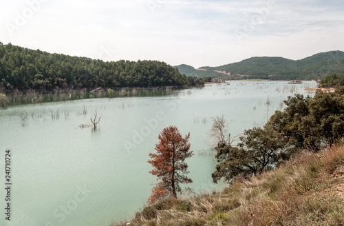 Lake in Catalonia with the Pyrenees mountains in the background.