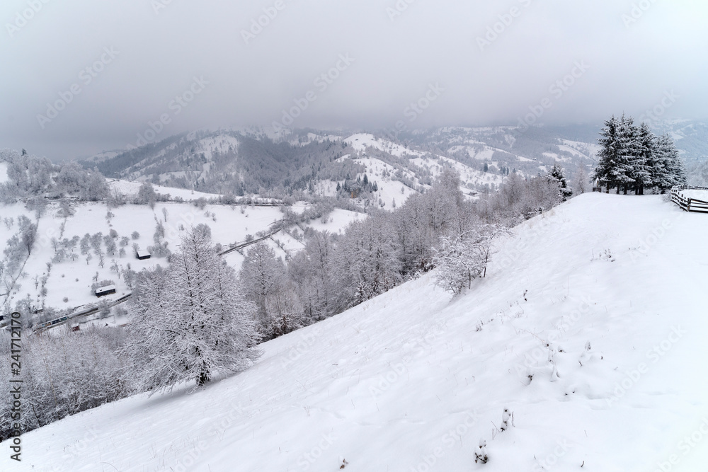 Fototapeta premium Village near the mountain during winter time