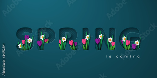 Spring is coming typographic design for seasonal greetings. 3d paper cut letters with spring flowers tulip and narcissus. Vector illustration.