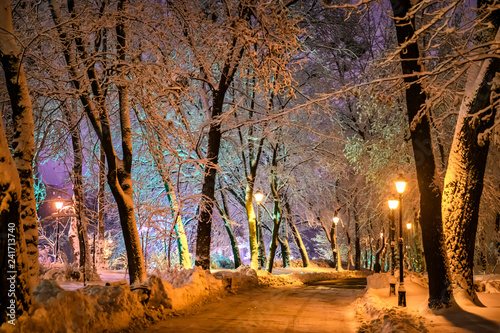 Snowy winter evening in the park with the light of the lanterns. Kyiv, Ukraine.