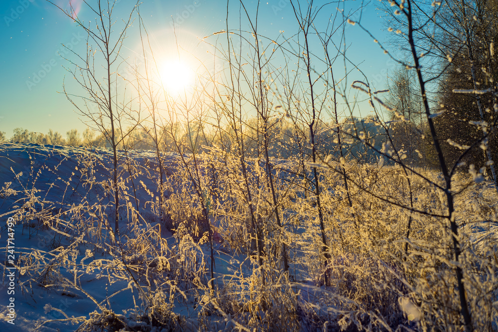 Obraz premium Winter landscape of the Russian province.Sergiev Posad.