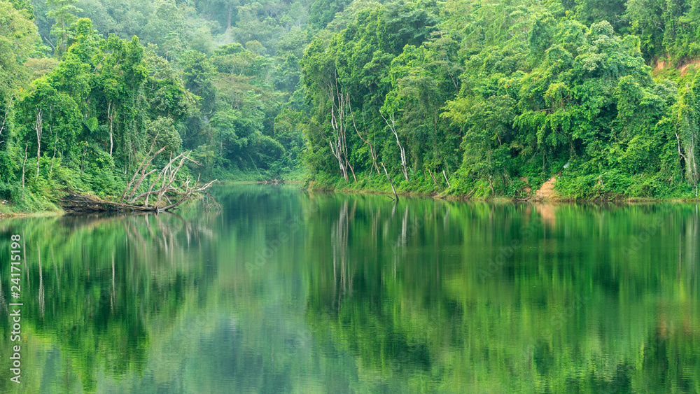 Tropical Rainforest with reflex in the water Beautiful scenery nature background