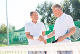 Smiling men greeting while standing on tennis court during summer match