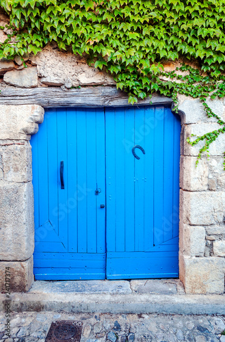 Ancient blue door in a wall