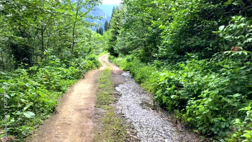 Beautiful green nature landscape of Karcal mountains of Blacksea region, Artvin, Turkey Beautiful green nature landscape of Karcal mountains of Blacksea region, Artvin, Turkey
