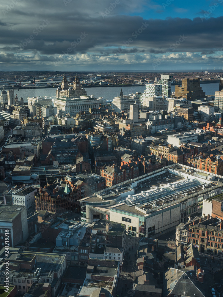 Fototapeta premium View from the Tower