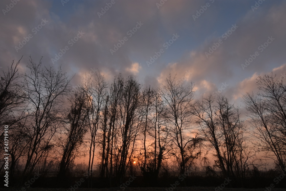 Fototapeta premium tramonto