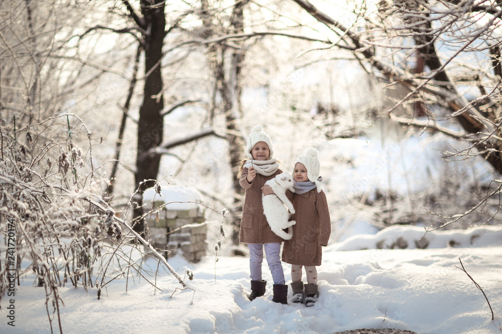 children sisters play with cat in snow. Winter