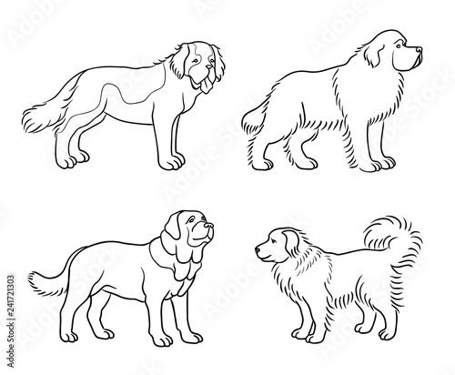 Dogs of different breeds in outlines (set2) - vector illustration