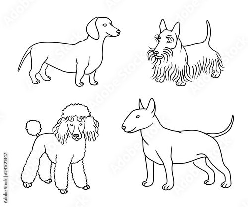 Dogs of different breeds in outlines (set5) - vector illustration