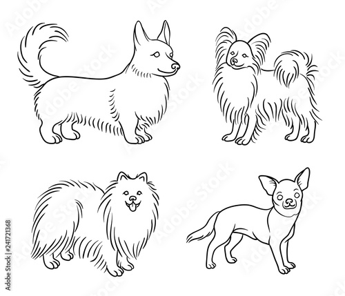 Dogs of different breeds in outlines (set6) - vector illustration
