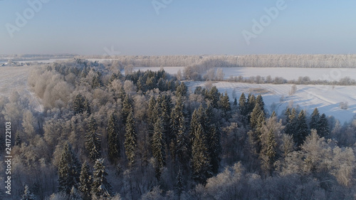 aerial view village among the fields and forests in winter. winter landscape snow covered field and trees in countryside.