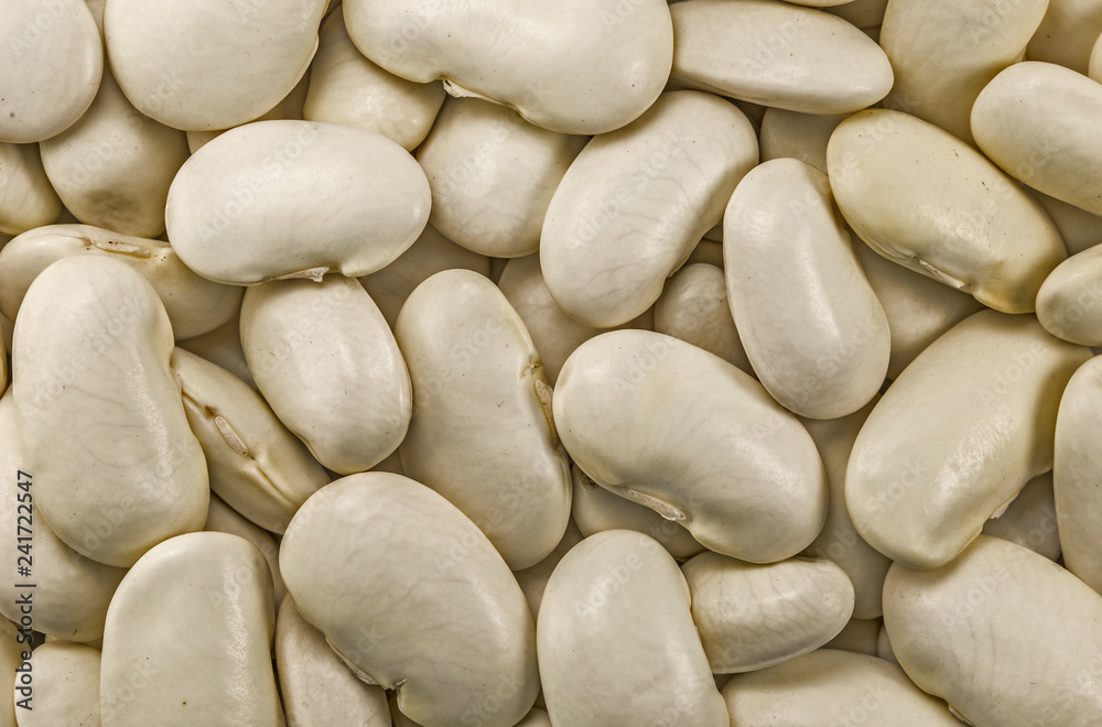 kidney bean isolated on white background. Kidney bean isolated on the white background kidney bean isolated on white background. Kidney bean isolated on the white background