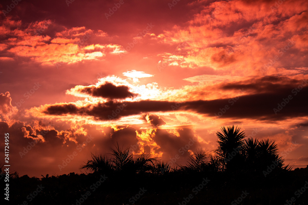 sunset in the sky sunset in the sky