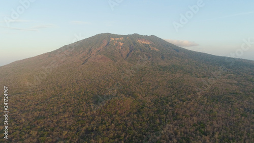 Fototapeta Naklejka Na Ścianę i Meble -  low growing tropical forest at foot mountain at sunset. aerial view mountains, forest with trees tropical landscape, Indonesia.