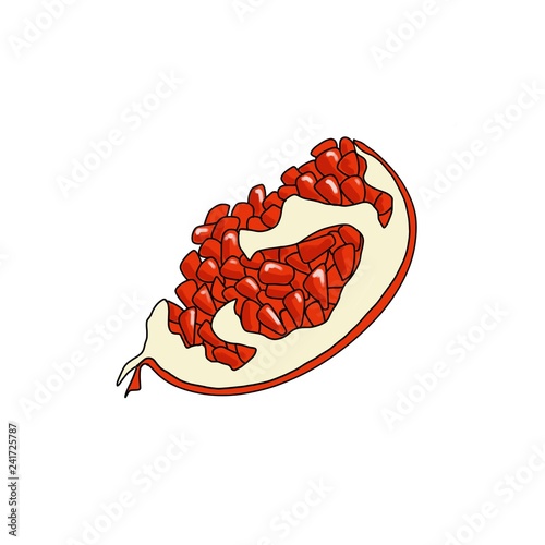 pomegranate graphics illustration