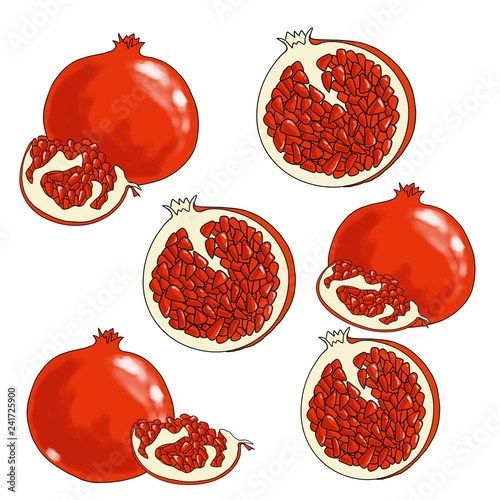 Pomegranate illustration background fruit