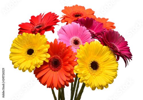 Bouquet of beautiful delicate flowers gerberas isolated on white background. Fashionable creative floral composition. Summer  spring. Flat lay  top view