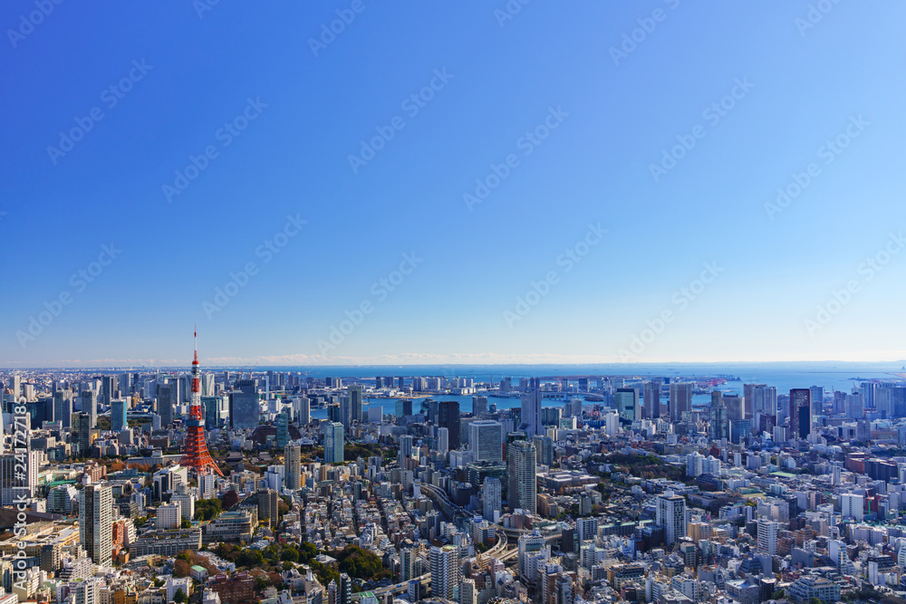 [Japan] Tokyo city view ( No.0045 )