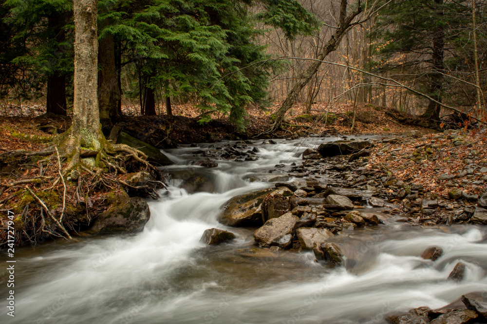 Stream Flowing over the Rocks Stream Flowing over the Rocks