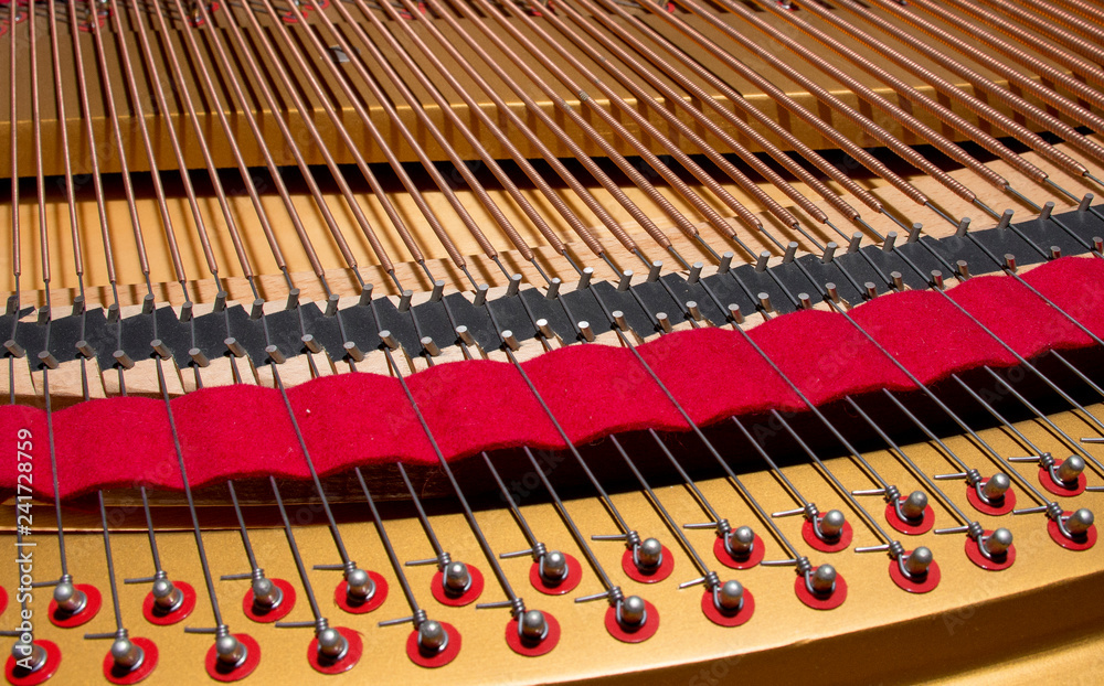 Interno di un pianoforte a coda Stock Photo | Adobe Stock