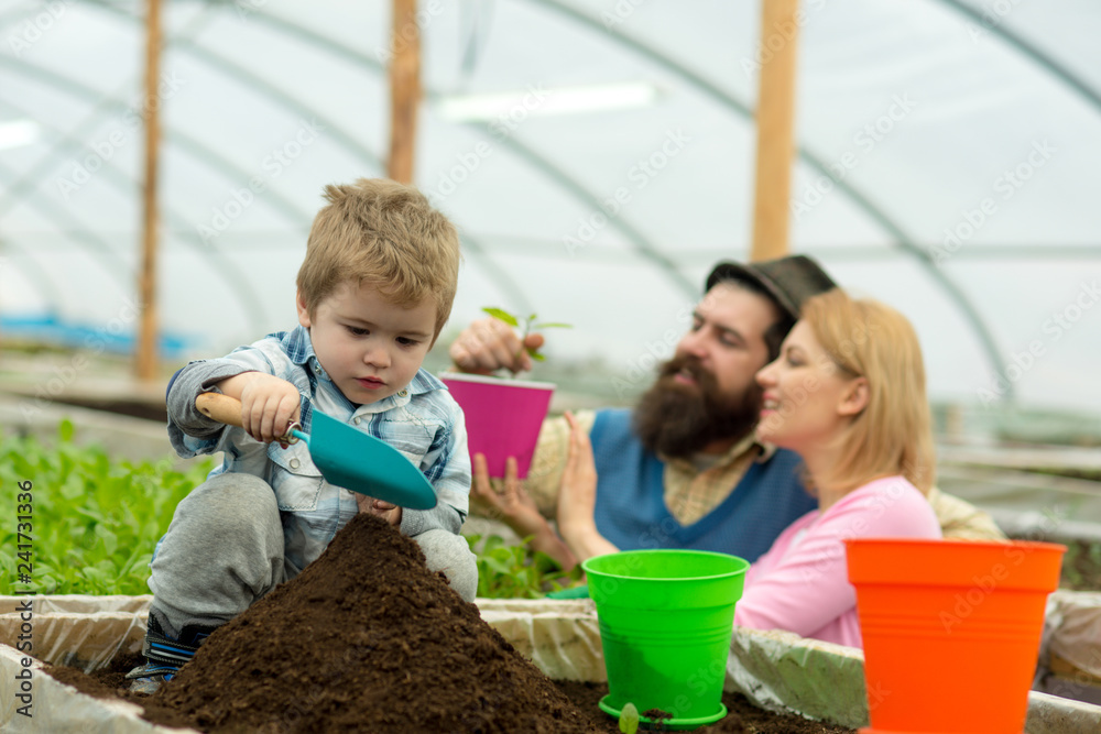 rich land. land rich with fertile. rich land for growing plants. family in greenhouse work with rich land. family gardening. rich land. land rich with fertile. rich land for growing plants. family in greenhouse work with rich land. family gardening.