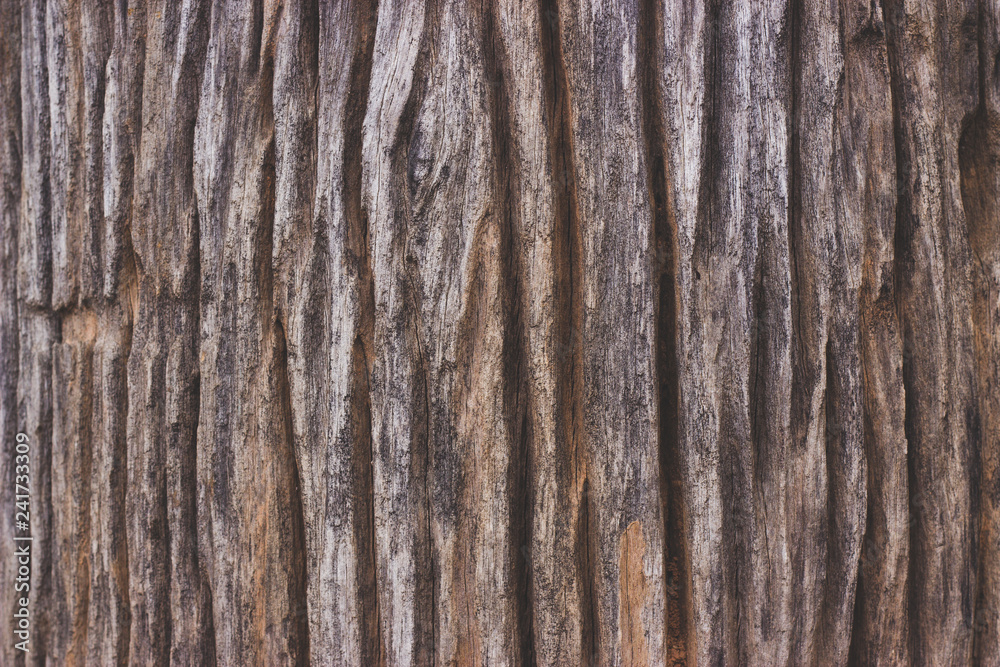 Wood texture background Wood texture background