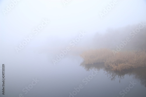 foggy morning by the river