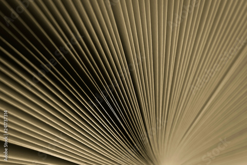 Macro view of book pages, as a background, vintage colored background.