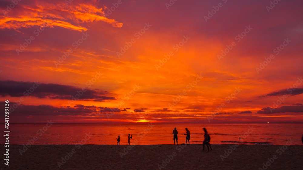 Fototapeta premium stunning sunset over coconut trees at Karon beach Phuket