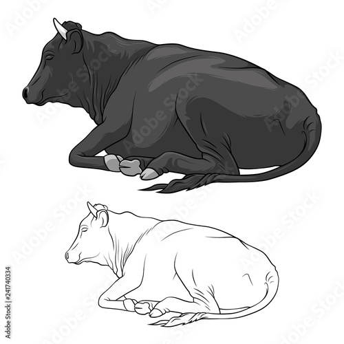 Black Cow Lying Down. Cow in lines. Cow on white background. Vector