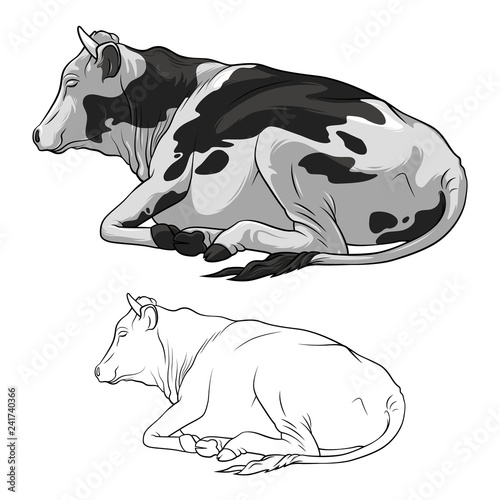 Black And White Cow Lying Down. Cow in lines. Cow on white background. Vector