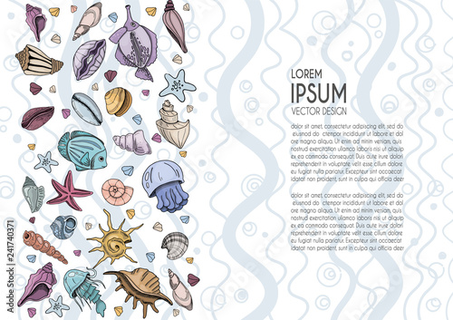 Vector seashells Set