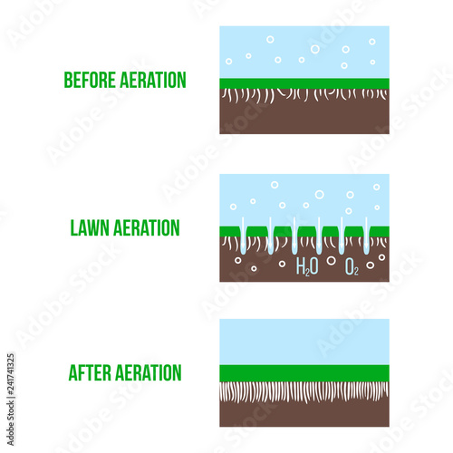 Lawn aeration stage illustration. Gardening grass lawncare, landscaping service. Vector isolated on white