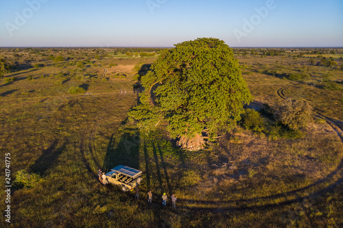 Drone shot of a trip to an old baobab tree in Botswana photo