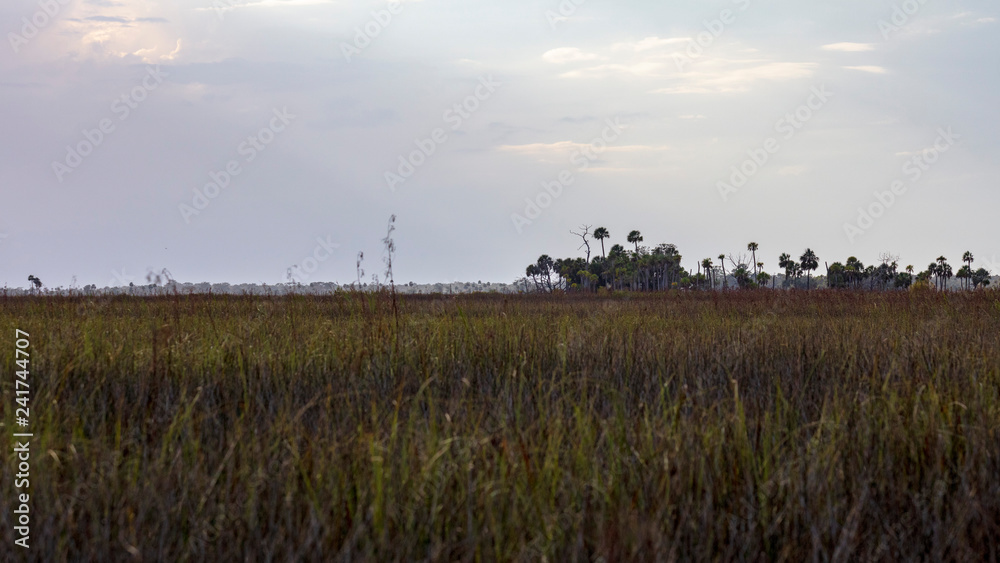 Clouds skitter across the sky over the salt marsh along the Gulf of Mexico