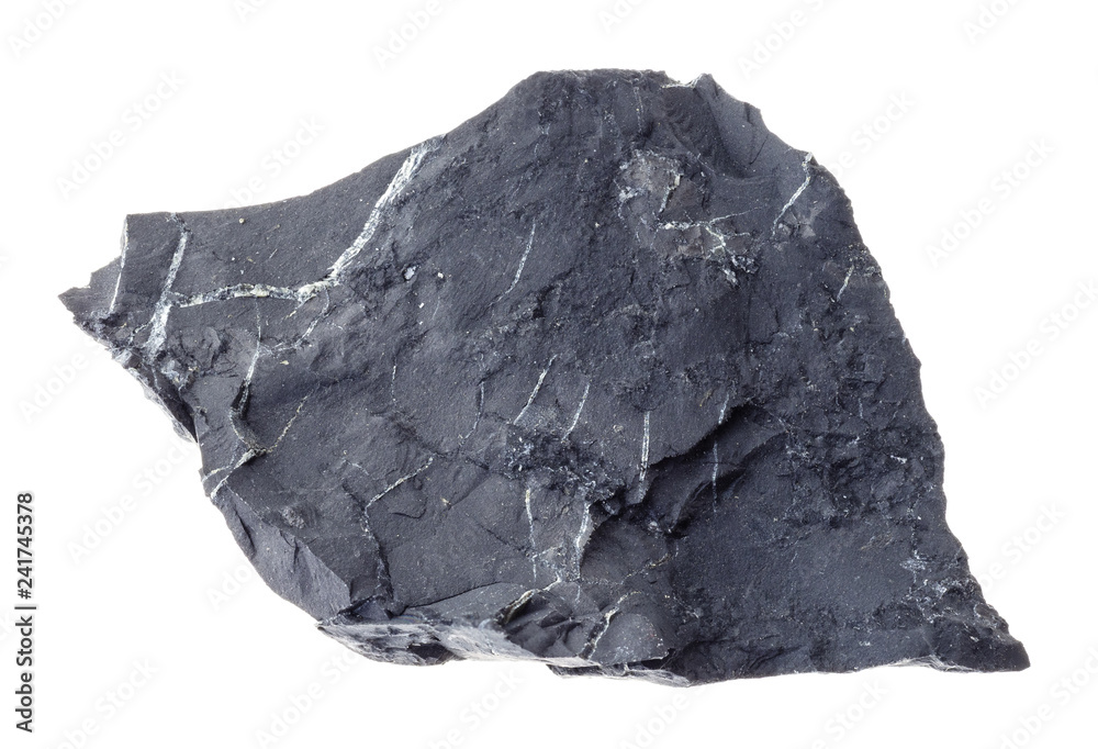 raw shungite shale stone on white