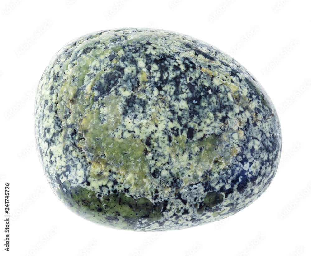 tumbled green Serpentine gemstone on white tumbled green Serpentine gemstone on white