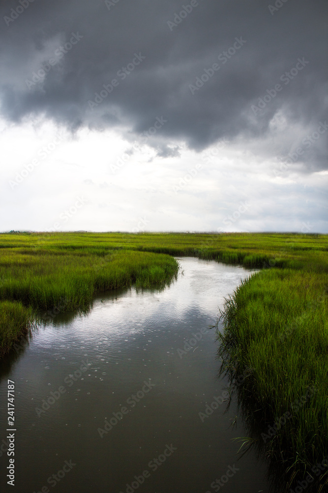 salt marsh at Shem Creek in Mount Pleasant South Carolina